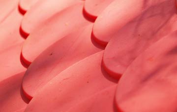 Scamodale plastic roof costs