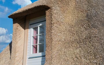 Scamodale thatch roof disadvantages