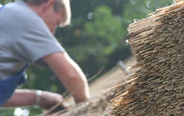 professional Scamodale thatchers